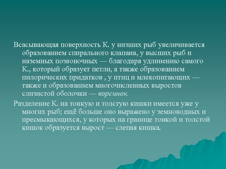 Всасывающая поверхность К. у низших рыб увеличивается образованием спирального клапана, у высших рыб и