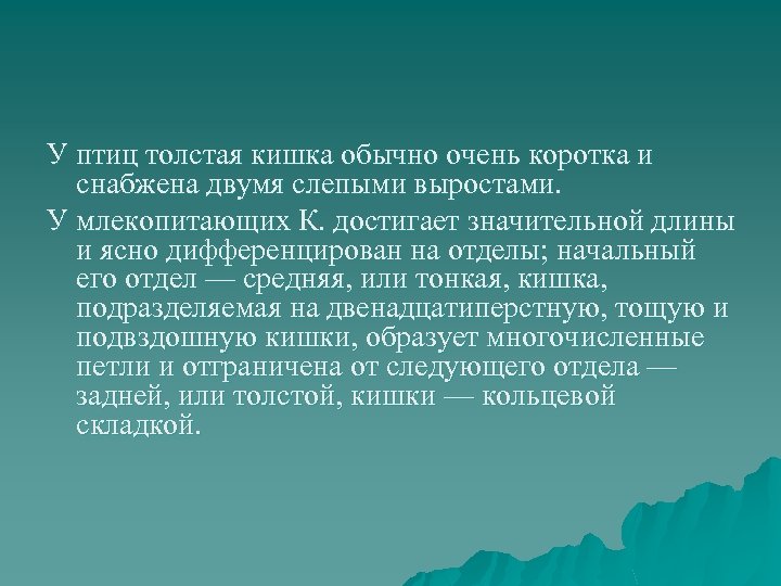 У птиц толстая кишка обычно очень коротка и снабжена двумя слепыми выростами. У млекопитающих