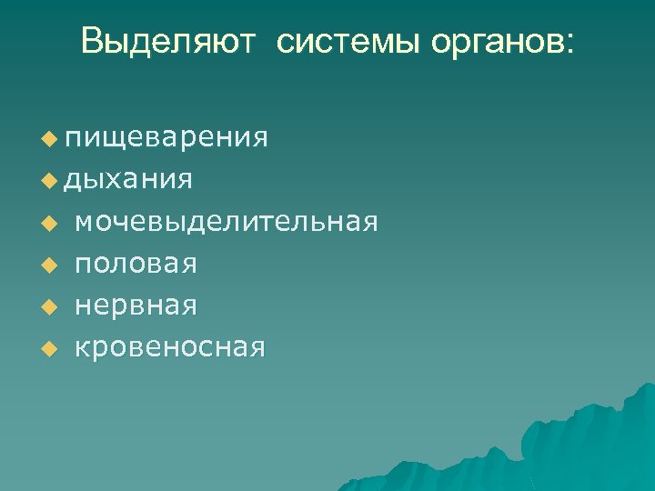 Выделяют системы органов: u пищеварения u дыхания u мочевыделительная u половая u нервная u
