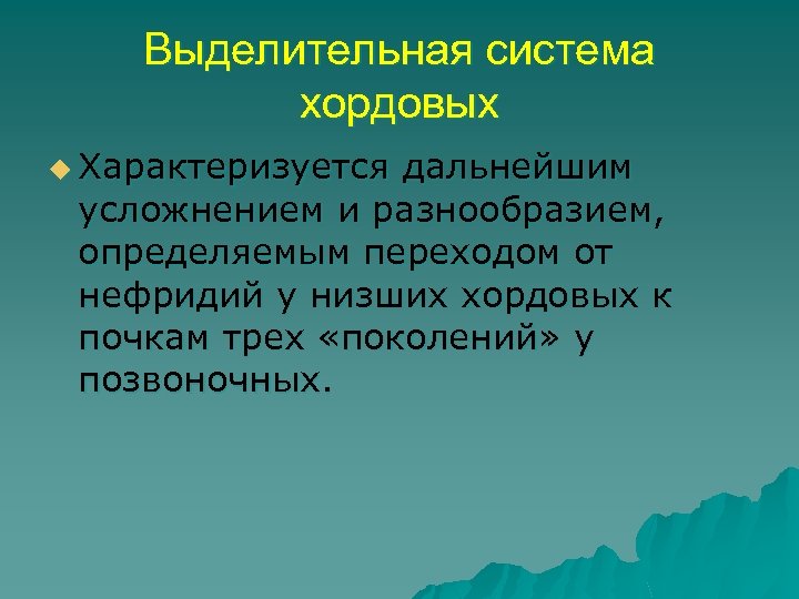 Выделительная система хордовых u Характеризуется дальнейшим усложнением и разнообразием, определяемым переходом от нефридий у