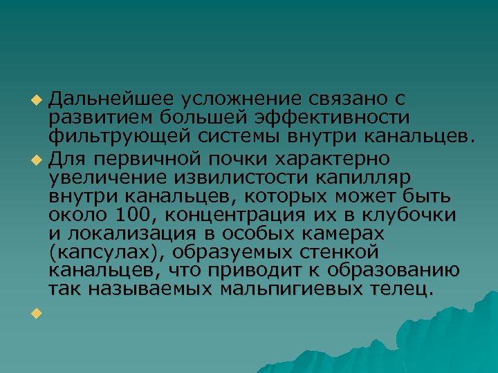 Дальнейшее усложнение связано с развитием большей эффективности фильтрующей системы внутри канальцев. u Для первичной
