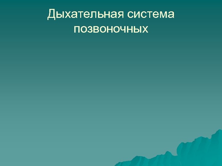 Дыхательная система позвоночных 