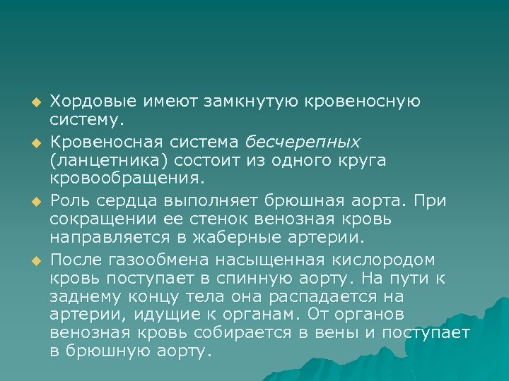 u u Хордовые имеют замкнутую кровеносную систему. Кровеносная система бесчерепных (ланцетника) состоит из одного