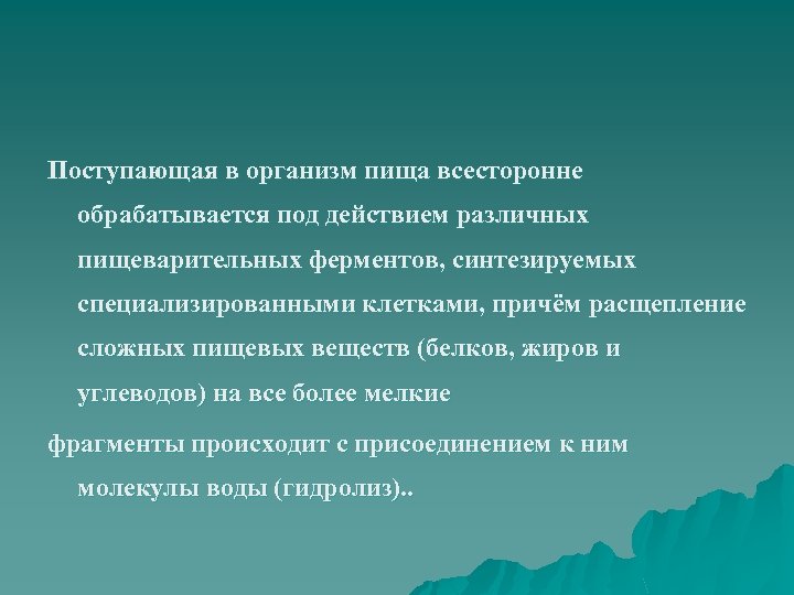 Поступающая в организм пища всесторонне обрабатывается под действием различных пищеварительных ферментов, синтезируемых специализированными клетками,