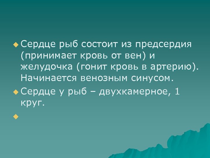 u Сердце рыб состоит из предсердия (принимает кровь от вен) и желудочка (гонит кровь
