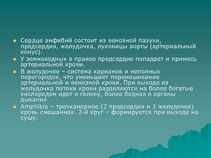 u u Сердце амфибий состоит из венозной пазухи, предсердия, желудочка, луковицы аорты (артериальный конус).