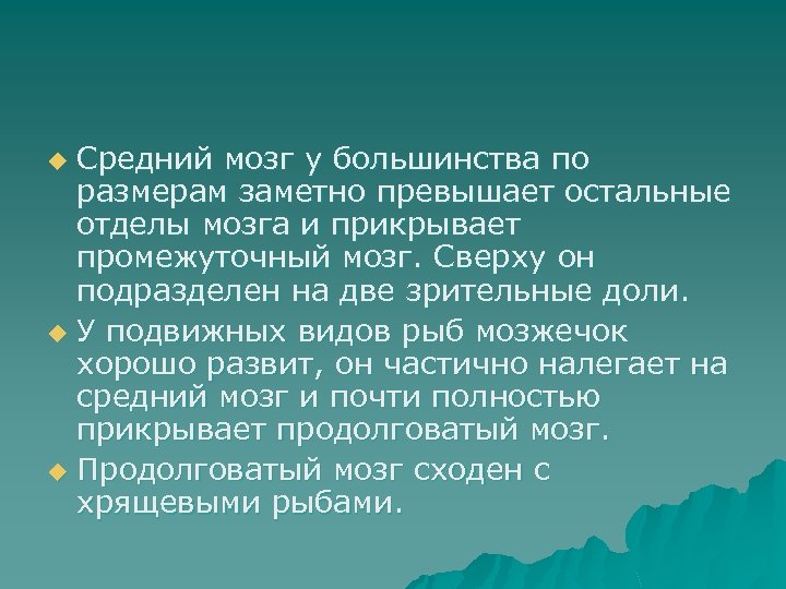 Средний мозг у большинства по размерам заметно превышает остальные отделы мозга и прикрывает промежуточный