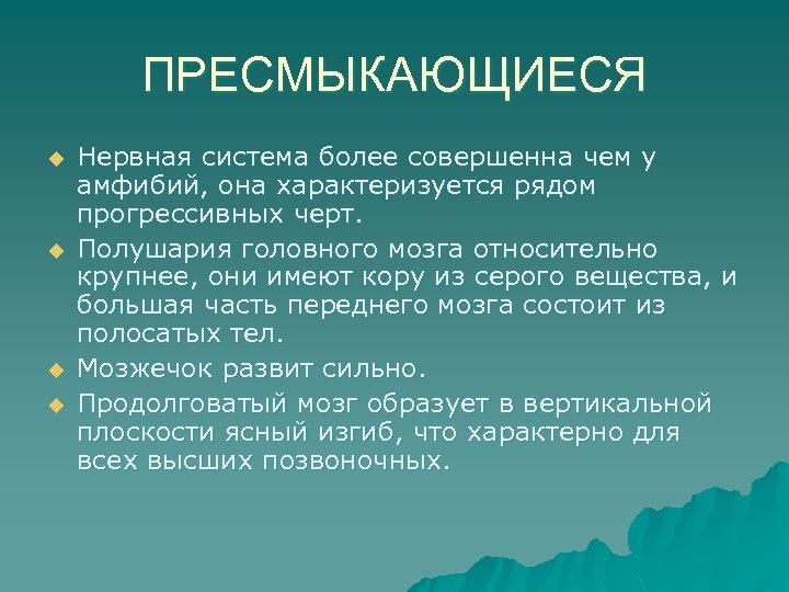 ПРЕСМЫКАЮЩИЕСЯ u u Нервная система более совершенна чем у амфибий, она характеризуется рядом прогрессивных