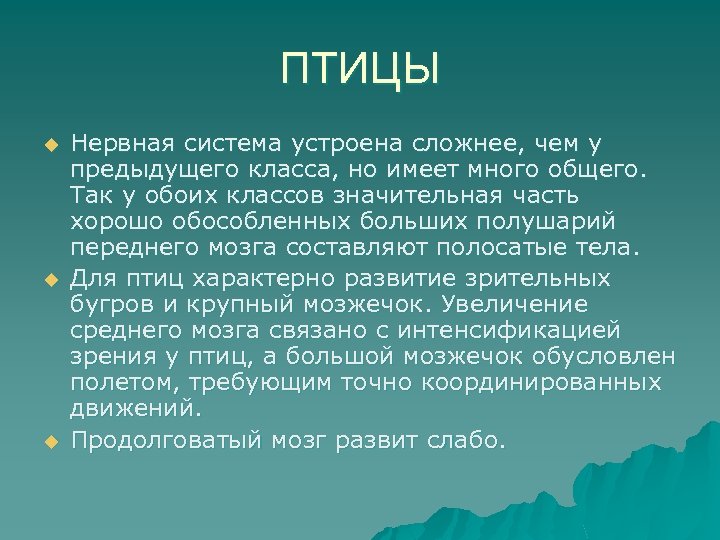 ПТИЦЫ u u u Нервная система устроена сложнее, чем у предыдущего класса, но имеет