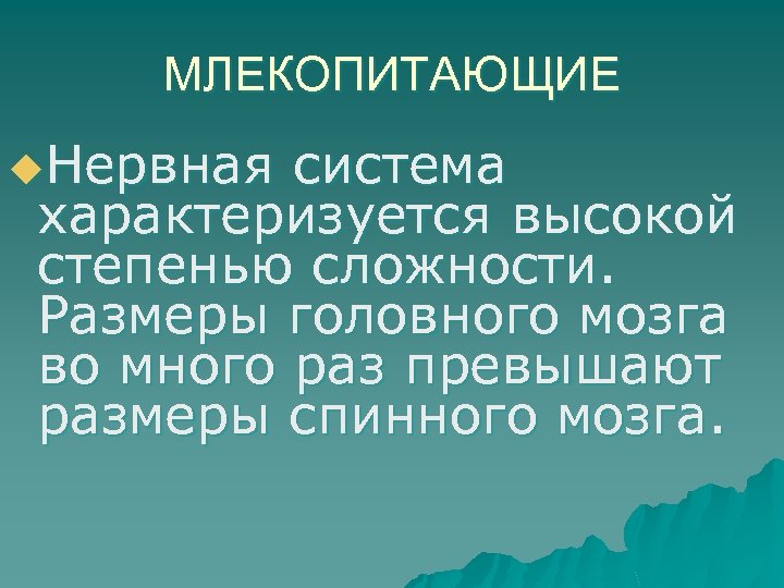 МЛЕКОПИТАЮЩИЕ u. Нервная система характеризуется высокой степенью сложности. Размеры головного мозга во много раз