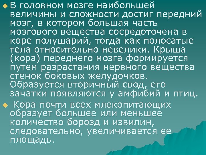 u В головном мозге наибольшей величины и сложности достиг передний мозг, в котором большая