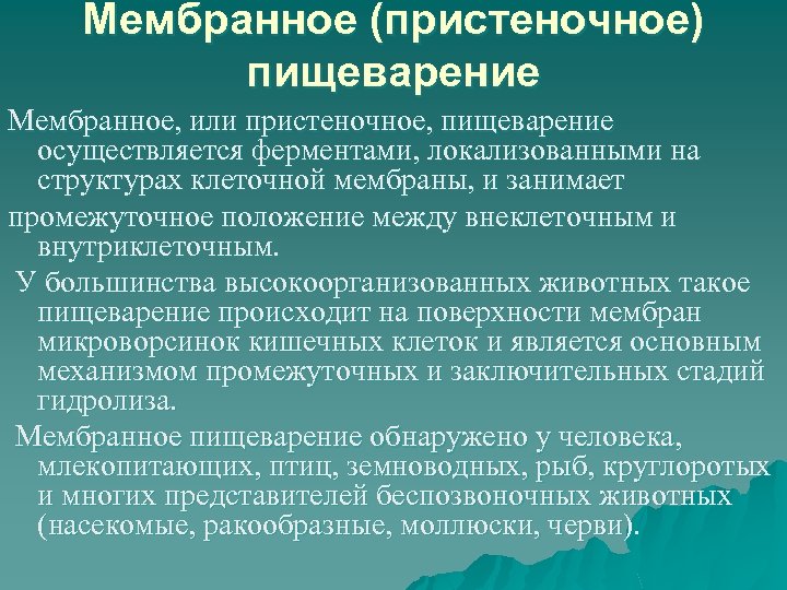 Пристеночное пищеварение это. Пристеночное и мембранное пищеварение. Пристеночное пищеварение осуществляется ферментами. Ферменты мембранного пищеварения. Мембранное пищеварение осуществляется ферментами.