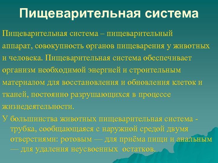 Пищеварительная система – пищеварительный аппарат, совокупность органов пищеварения у животных и человека. Пищеварительная система