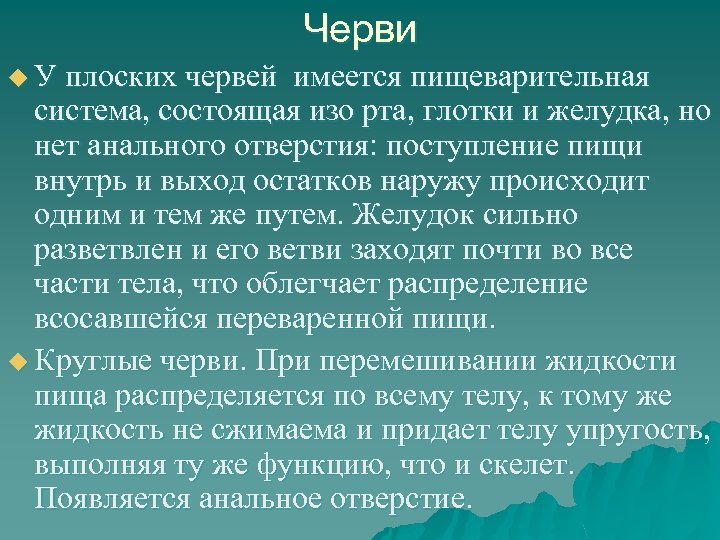 Черви u У плоских червей имеется пищеварительная система, состоящая изо рта, глотки и желудка,