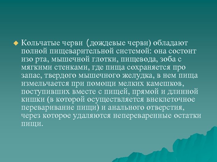 u Кольчатые черви (дождевые черви) обладают полной пищеварительной системой: она состоит изо рта, мышечной