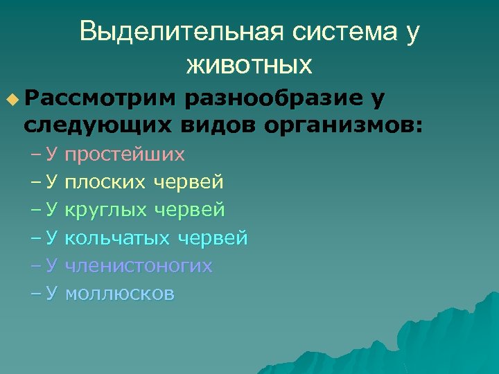 Выделительная система у животных u Рассмотрим разнообразие у следующих видов организмов: – У простейших
