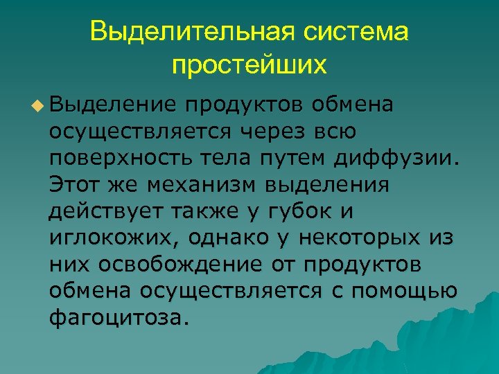 Выделительная система простейших u Выделение продуктов обмена осуществляется через всю поверхность тела путем диффузии.