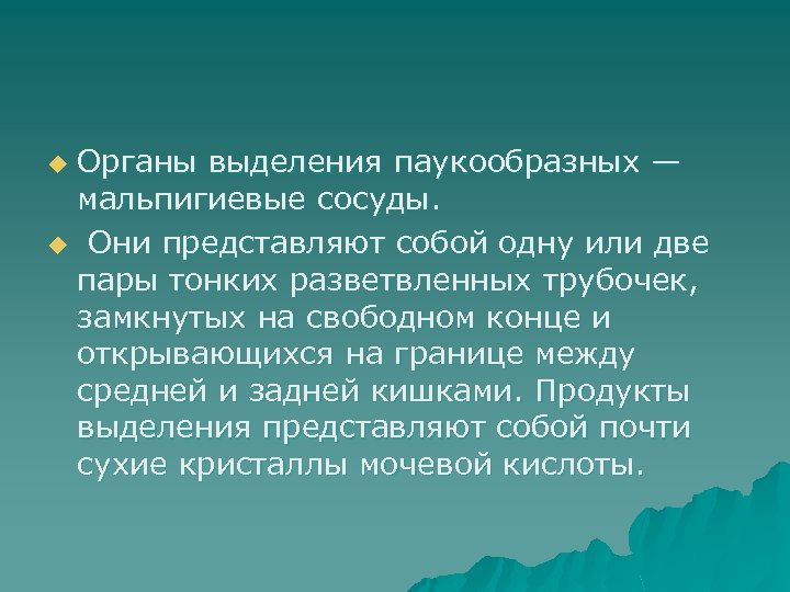 Органы выделения паукообразных — мальпигиевые сосуды. u Они представляют собой одну или две пары