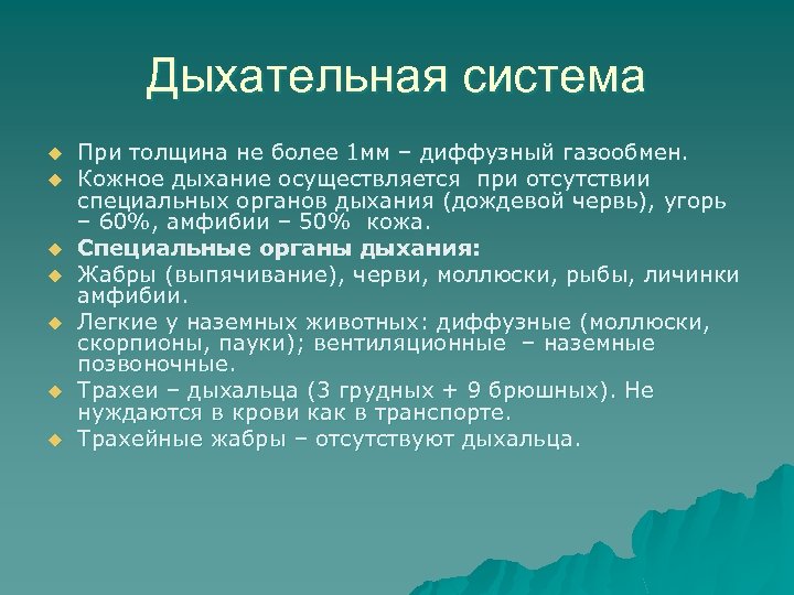 Дыхательная система u u u u При толщина не более 1 мм – диффузный