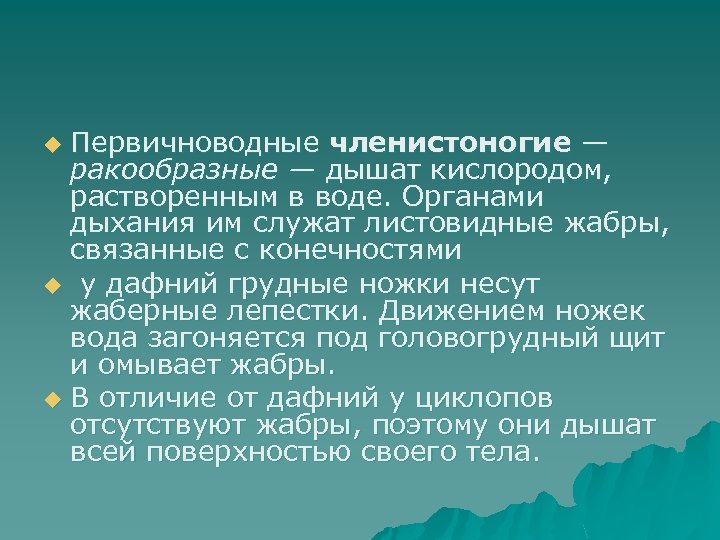 Первичноводные членистоногие — ракообразные — дышат кислородом, растворенным в воде. Органами дыхания им служат