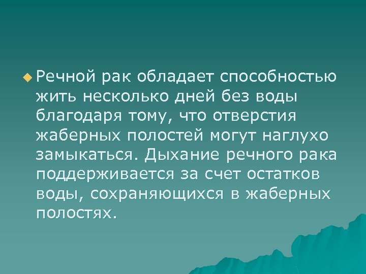 u Речной рак обладает способностью жить несколько дней без воды благодаря тому, что отверстия