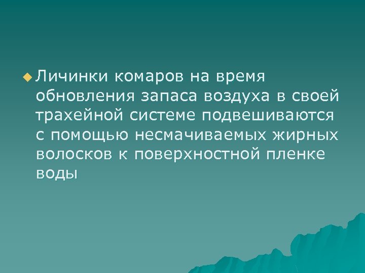 u Личинки комаров на время обновления запаса воздуха в своей трахейной системе подвешиваются с
