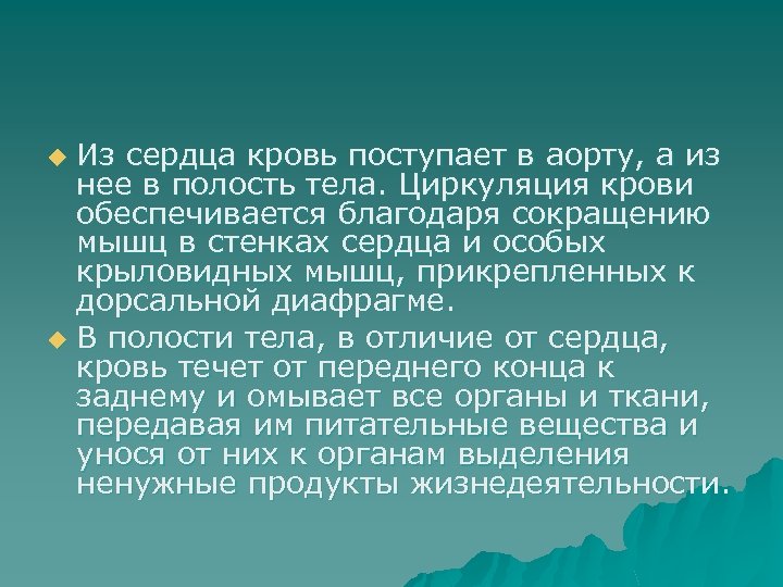Из сердца кровь поступает в аорту, а из нее в полость тела. Циркуляция крови