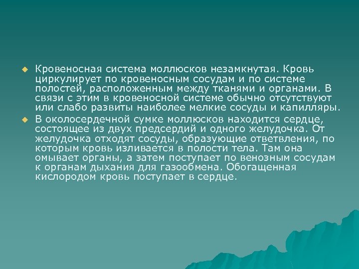 u u Кровеносная система моллюсков незамкнутая. Кровь циркулирует по кровеносным сосудам и по системе