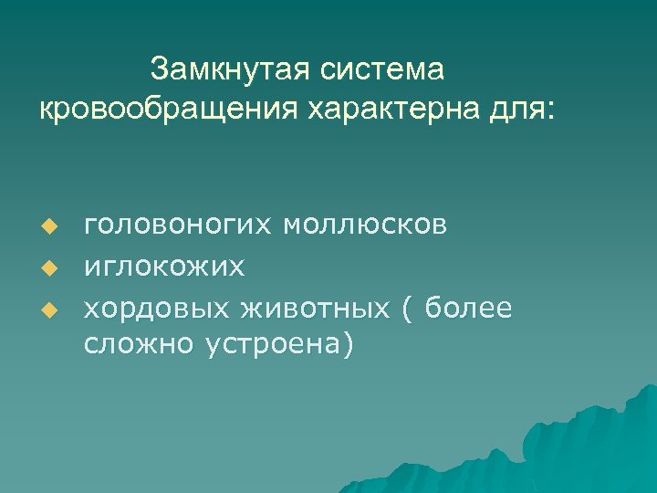 Замкнутая система кровообращения характерна для: u u u головоногих моллюсков иглокожих хордовых животных (
