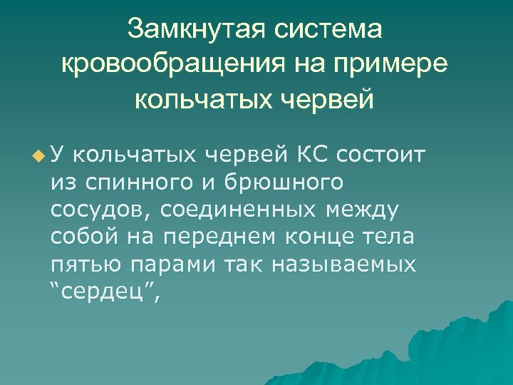 Замкнутая система кровообращения на примере кольчатых червей u У кольчатых червей КС состоит из