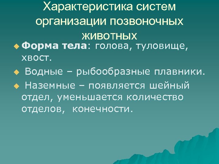 Характеристика систем организации позвоночных животных u Форма тела: голова, туловище, хвост. u Водные –