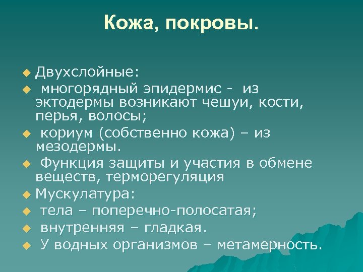 Кожа, покровы. Двухслойные: u многорядный эпидермис из эктодермы возникают чешуи, кости, перья, волосы; u