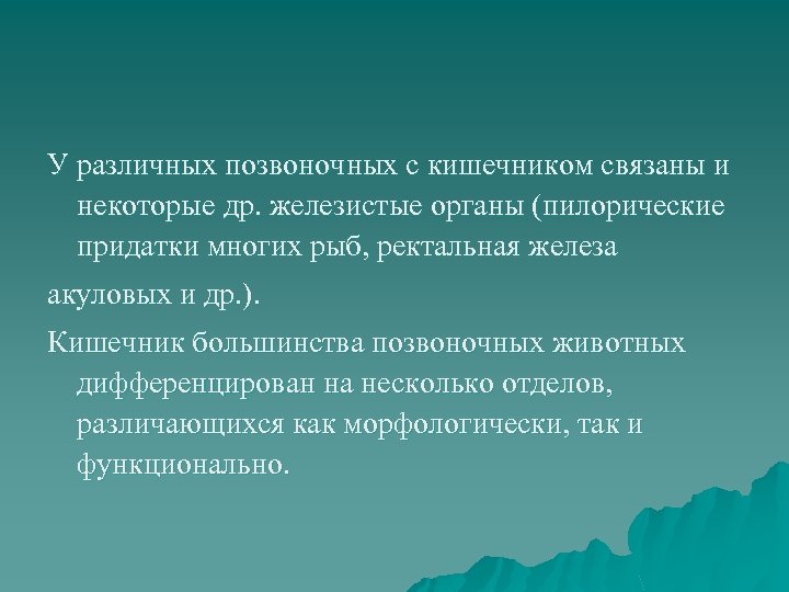 У различных позвоночных с кишечником связаны и некоторые др. железистые органы (пилорические придатки многих