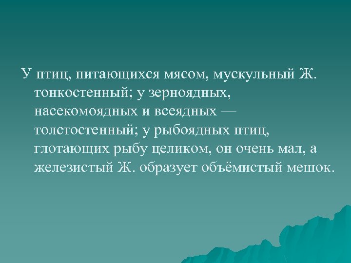 У птиц, питающихся мясом, мускульный Ж. тонкостенный; у зерноядных, насекомоядных и всеядных — толстостенный;
