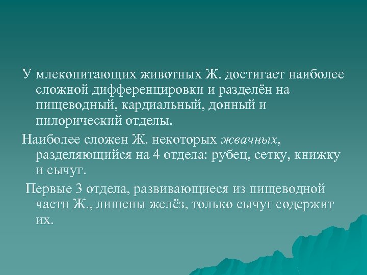 У млекопитающих животных Ж. достигает наиболее сложной дифференцировки и разделён на пищеводный, кардиальный, донный