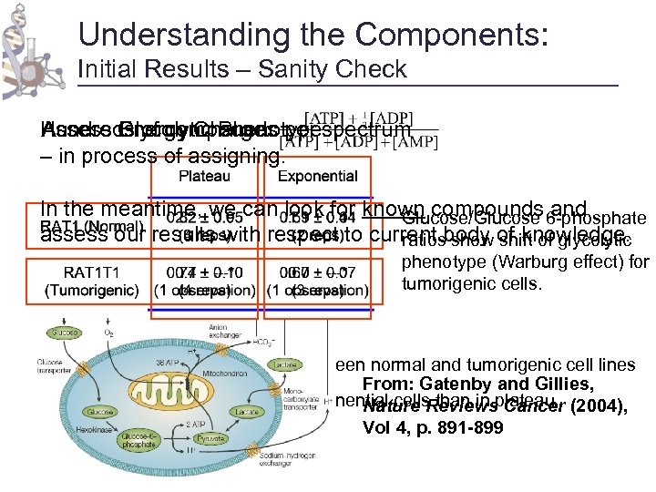 Understanding the Components: Initial Results – Sanity Check Hundreds of compounds per spectrum Assess