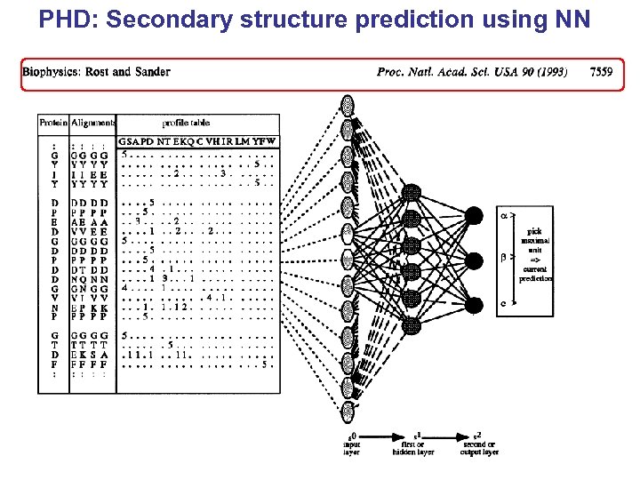 phd secondary structure prediction method