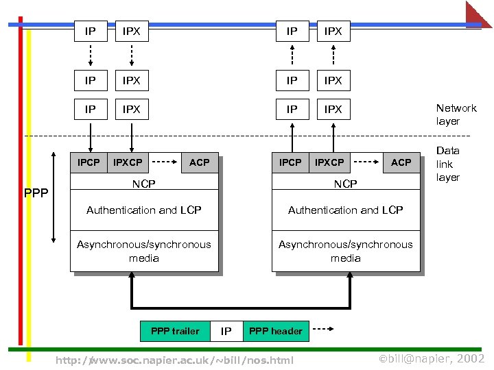 IP IPX IP IPX IPCP PPP IPXCP ACP IPXCP Network layer ACP NCP Authentication