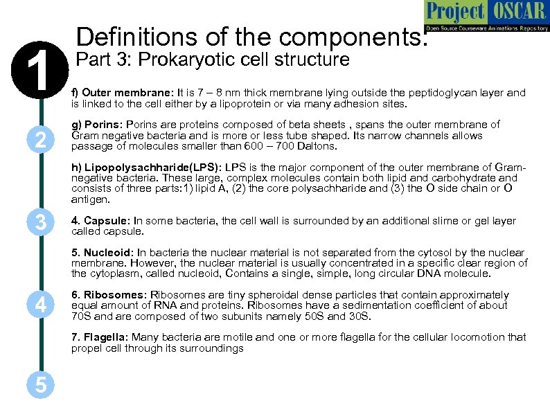 1 2 Definitions of the components: Part 3: Prokaryotic cell structure f) Outer membrane: