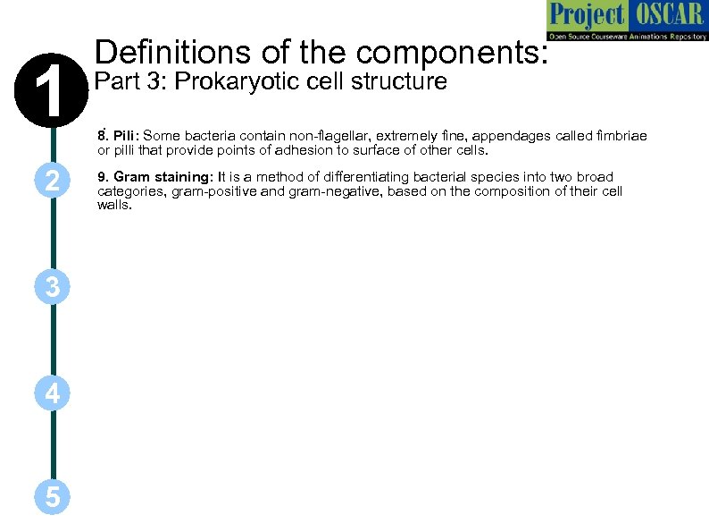 1 2 3 4 5 Definitions of the components: Part 3: Prokaryotic cell structure