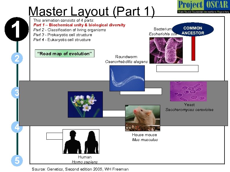 1 2 3 Master Layout (Part 1) This animation consists of 4 parts: Part
