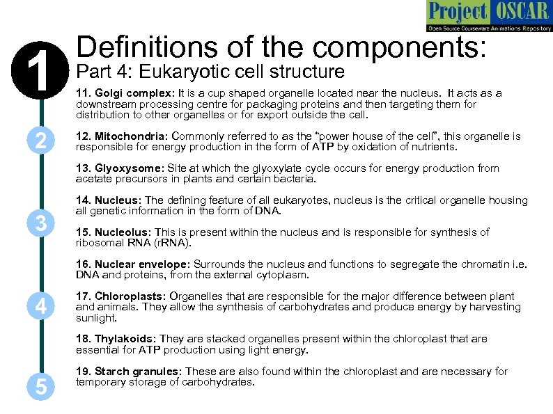 1 2 Definitions of the components: Part 4: Eukaryotic cell structure 11. Golgi complex:
