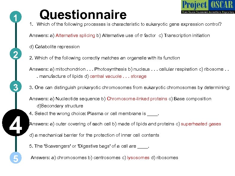 1 Questionnaire 1. Which of the following processes is characteristic to eukaryotic gene expression