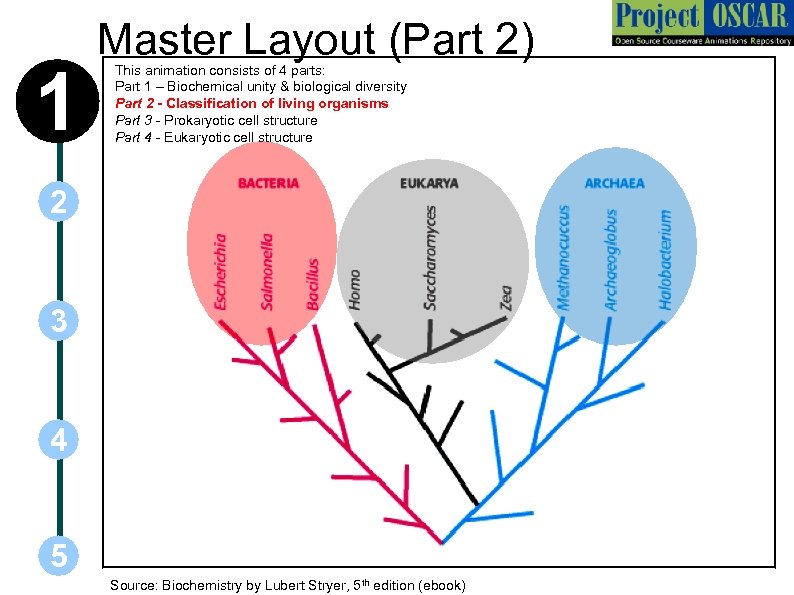 1 Master Layout (Part 2) This animation consists of 4 parts: Part 1 –