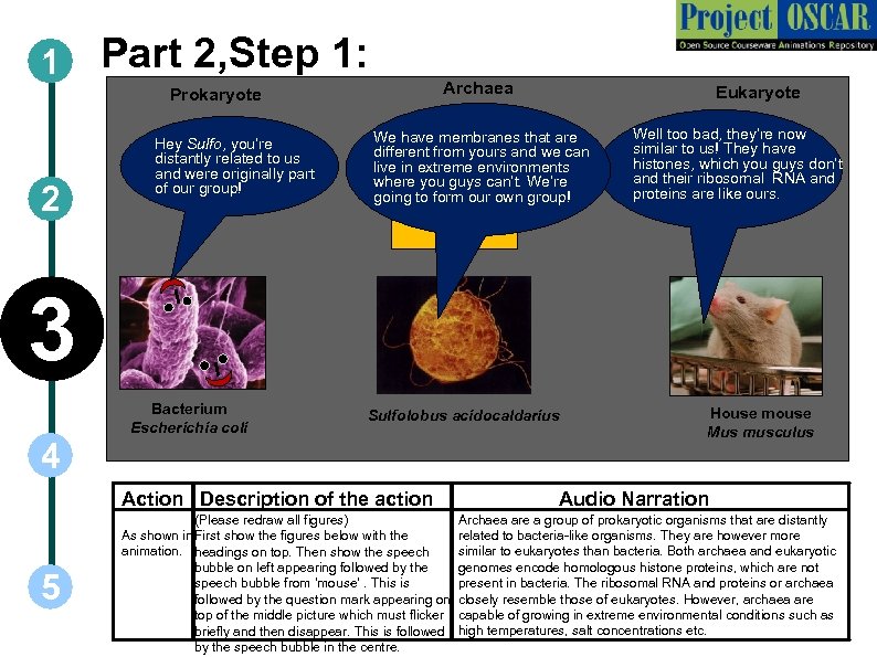 1 Part 2, Step 1: Archaea Prokaryote 2 Hey Sulfo, you’re distantly related to