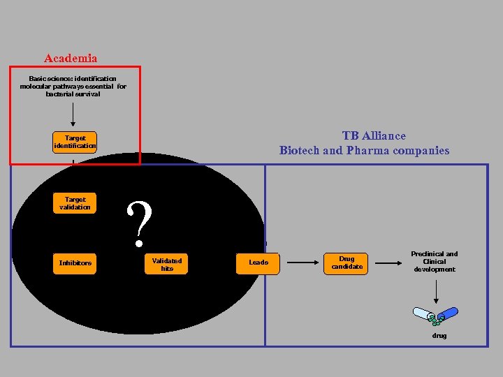 Academia Basic science: identification molecular pathways essential for bacterial survival TB Alliance Biotech and