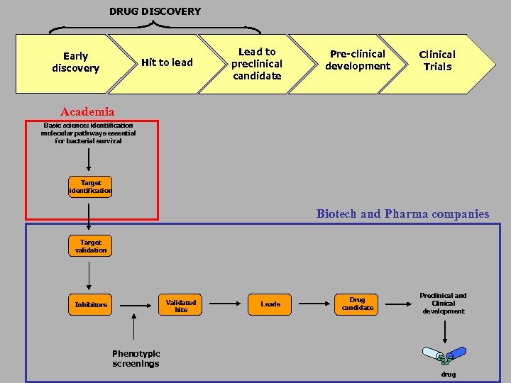 DRUG DISCOVERY Early discovery Hit to lead Lead to preclinical candidate Pre-clinical development Clinical