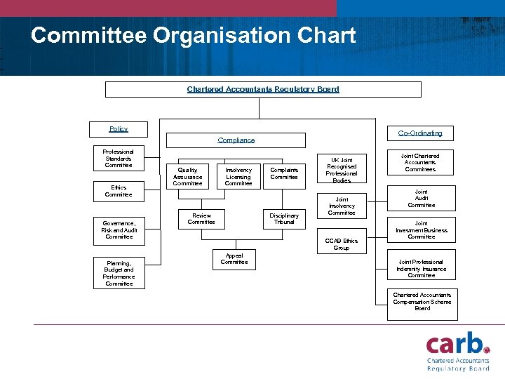 Committee Organisation Chartered Accountants Regulatory Board Policy Co-Ordinating Compliance Professional Standards Committee Ethics Committee