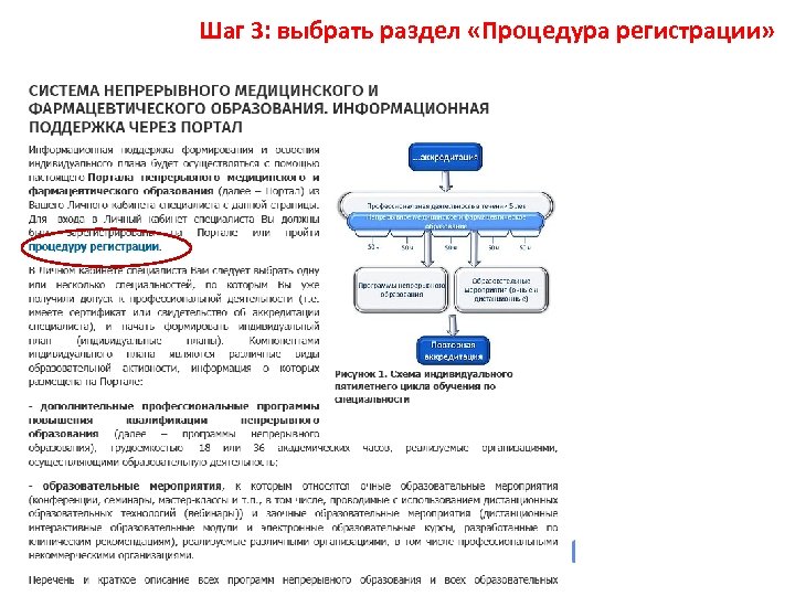 Шаг 3: выбрать раздел «Процедура регистрации» 