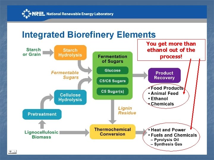 You get more than ethanol out of the process! 
